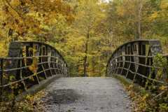 Autumn-Steel-Brige-in-Garrison-NY