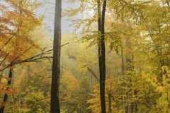Colorful-Autumn-Hike