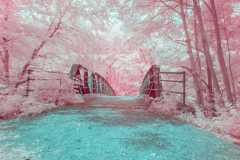 1_Bridge-to-another-world
