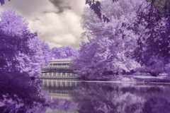Boathouse-in-purple
