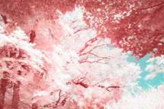Infrared-spotlight