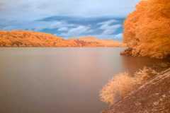 Orange-landscape
