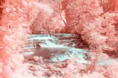 The-Magical-Waterfall-of-Madam-Brett-Park-1400