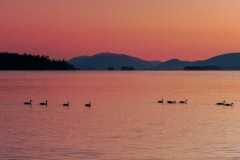 Calm-Morning-Mountain-View-over-Lake-George-1400