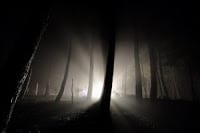The Dark Side of Popularity