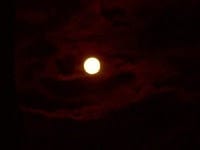 Writing Apocalyptic Stories