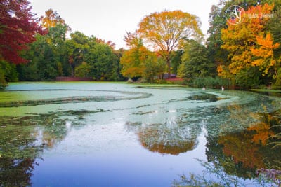 Story and Photos: The World in the Reflection