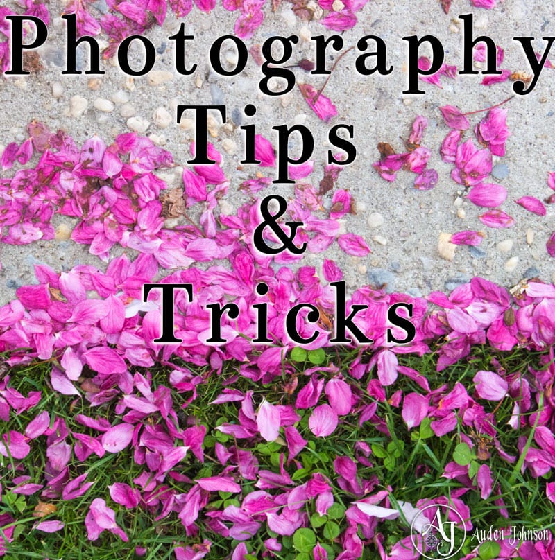4 Videos To Help You Improve Your Photos