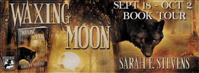 Waxing Moon by Sarah E. Stevens