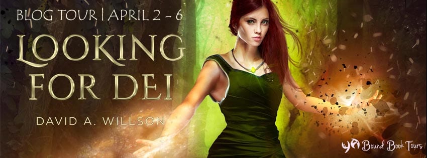 Looking for Dei by David A. Willson, a YA Fantasy Novel