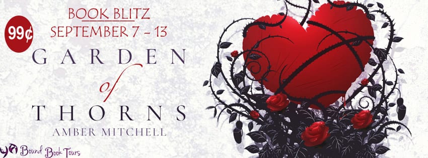 Garden of Thorns by Amber Mitchell, A YA Fantasy Romance