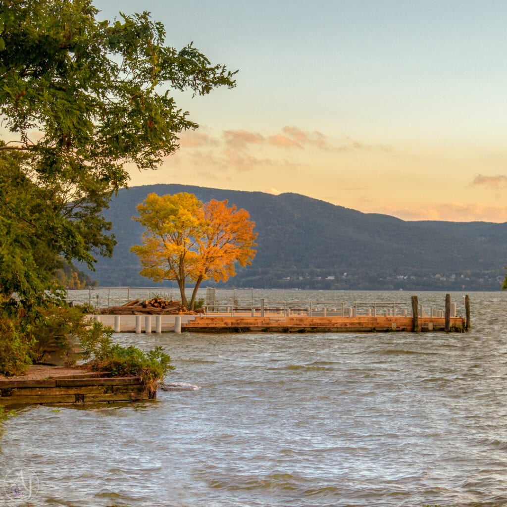 nature best fall photography