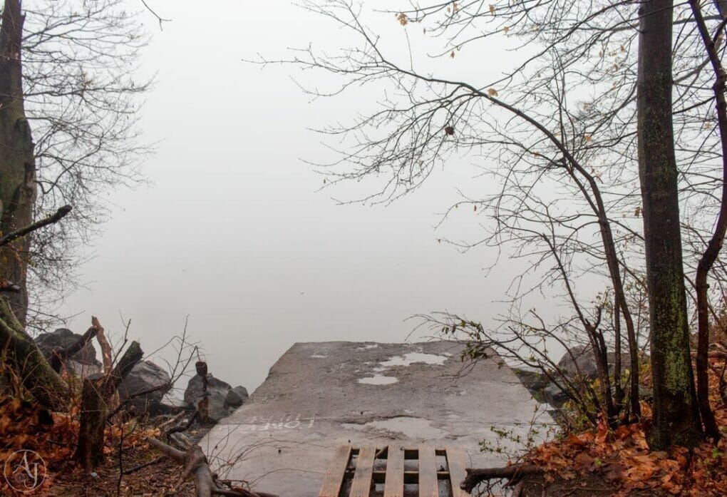 halloween scary foggy day photo