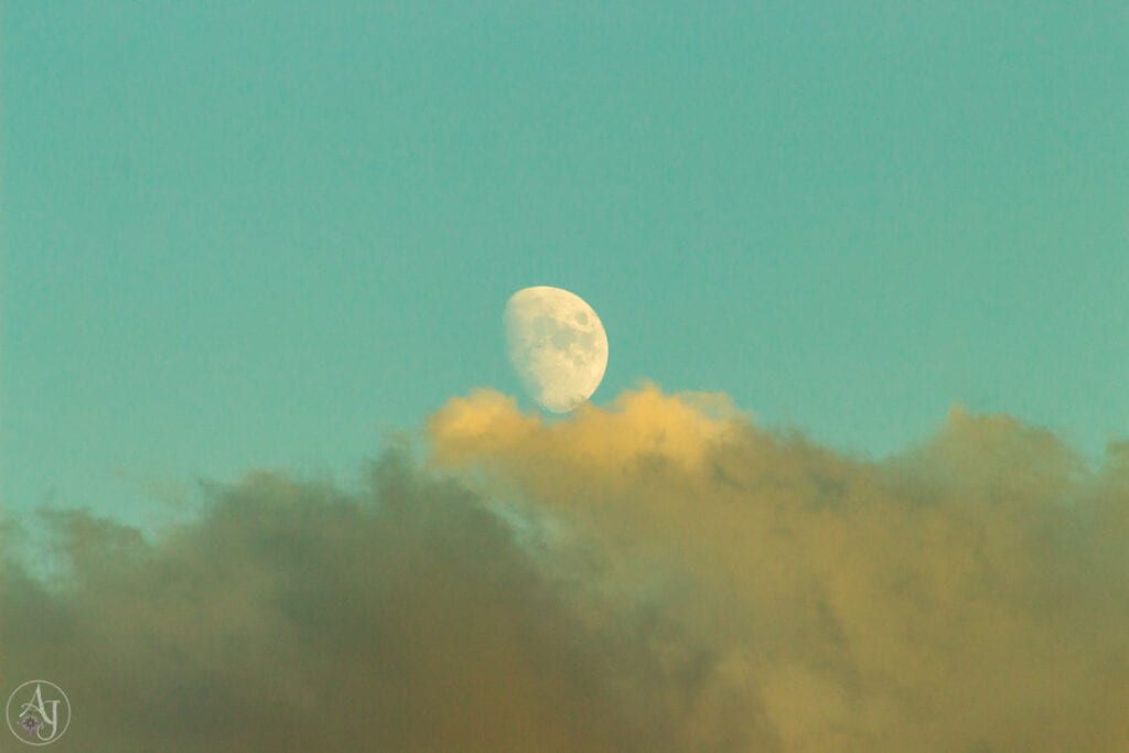 moonrise photo