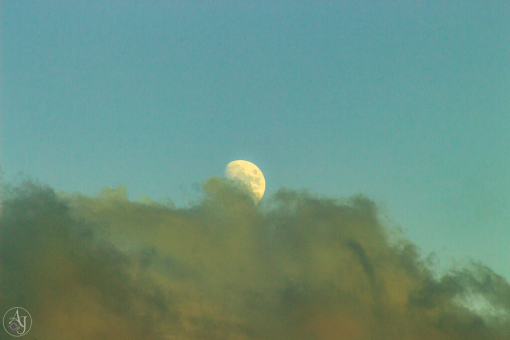 taking pictures of the moon