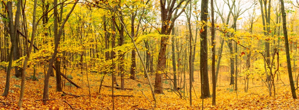 Nature Photography Hiking Adventure