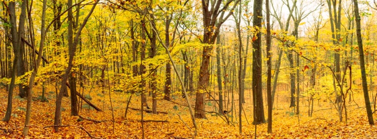 Nature Photography Hiking Adventure