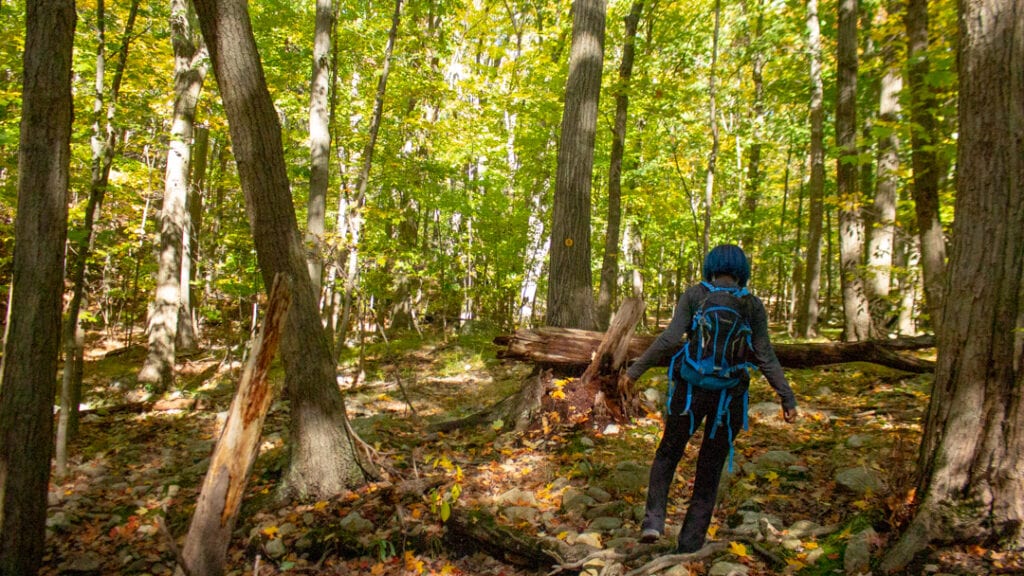 Nature Photography Hiking Hudson Highlands State Park in NY