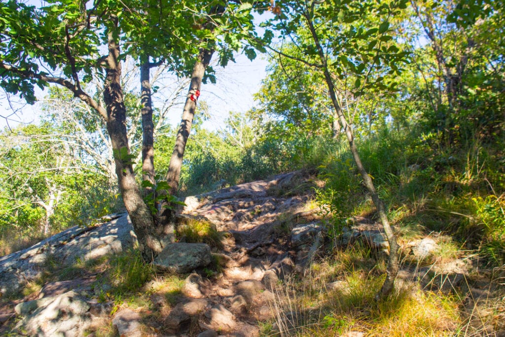 Nature Photography steep hiking trail