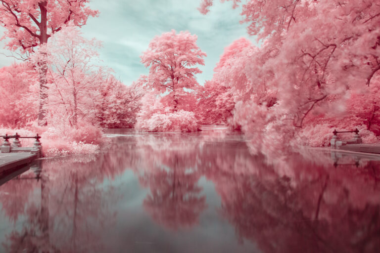 Pink Infrared Landscapes
